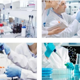 難溶性堿及其在生物制劑研發中的挑戰與應用